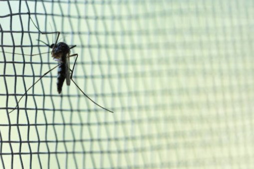 A szúnyoghálós redőny felszerelésének előnyei