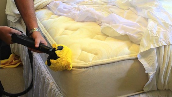 Hatékony ágyi poloska irtási módszerek az otthonunk védelmében